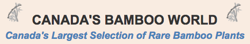 sads