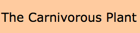 sads