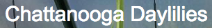 sads