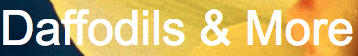 sads