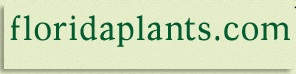 sads