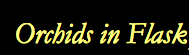 sads