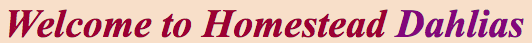 sads