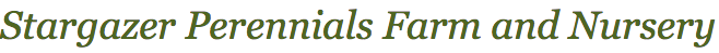 sads