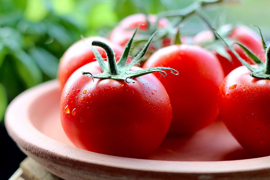 Fresh tomatoes with drops of water