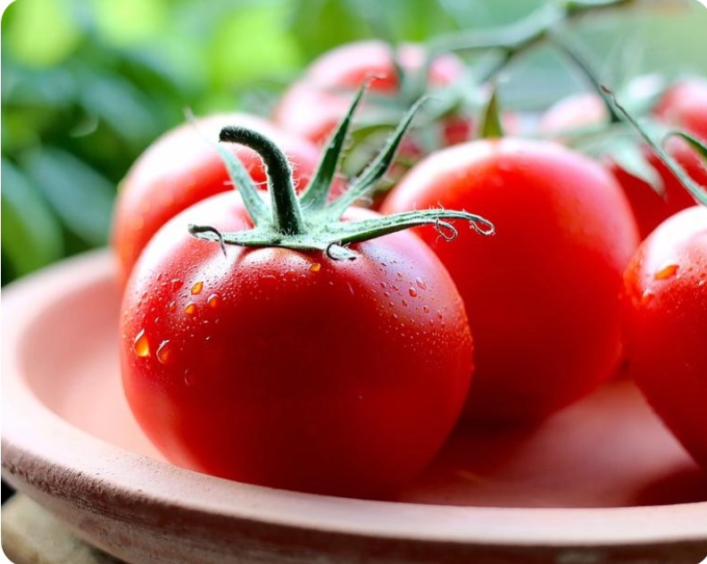 VEGETABLE GARDENING FOR BEGINNERS: THE BASICS OF PLANTING & GROWING